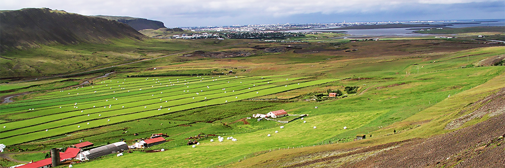 Mosfell Valley Iceland
